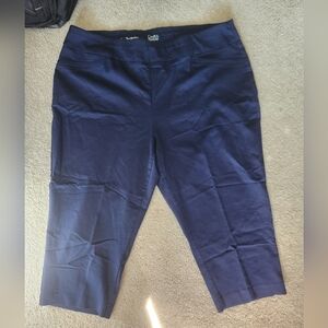 Croft & Barrow Dark Blue Regular Fit Pants
